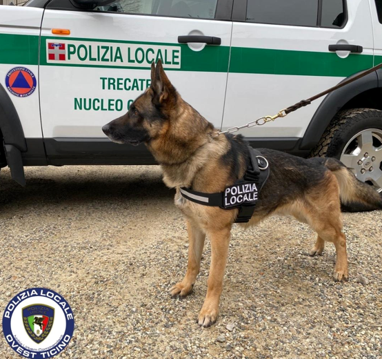 Polizia-locale-Nucleo-Cinofilo-Trecate.png